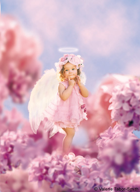 VEN AMOR
